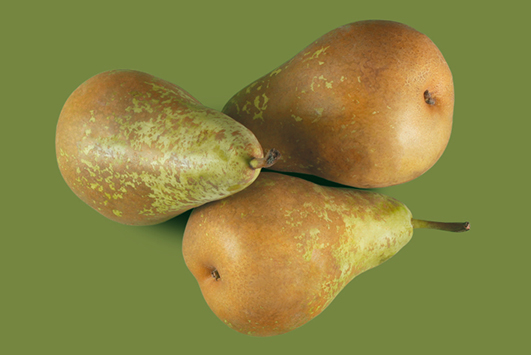 Fotografía de producto